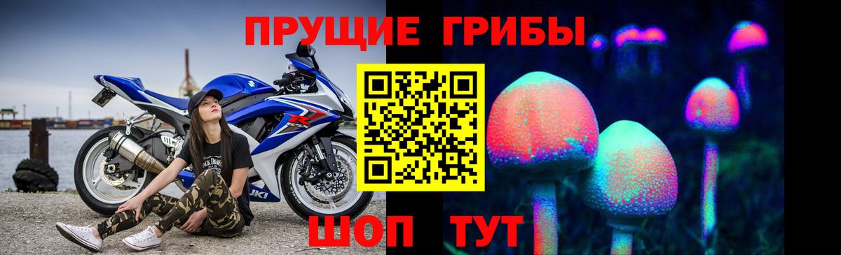 Галлюциногенные грибы Cubensis Наро-Фоминск